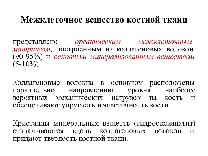 Межклеточное вещество костной ткани представлено органическим межклеточным матриксом, построенным из коллагеновых волокон