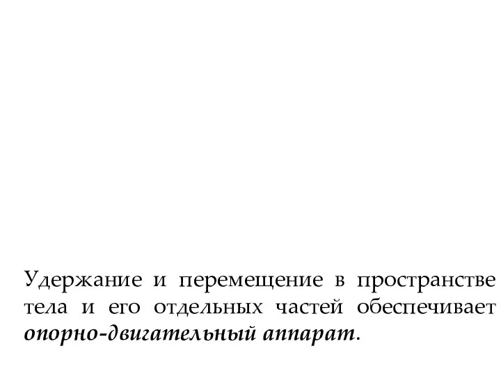 Удержание и перемещение в пространстве тела и его отдельных частей обеспечивает опорно-двигательный аппарат.