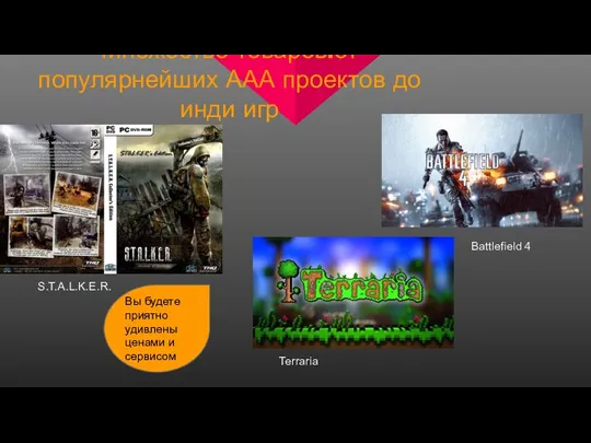 Множество товаров:от популярнейших ААА проектов до инди игр S.T.A.L.K.E.R. Battlefield 4 Terraria