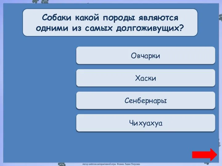 Переход хода Овчарки Собаки какой породы являются одними из самых долгоживущих? Переход