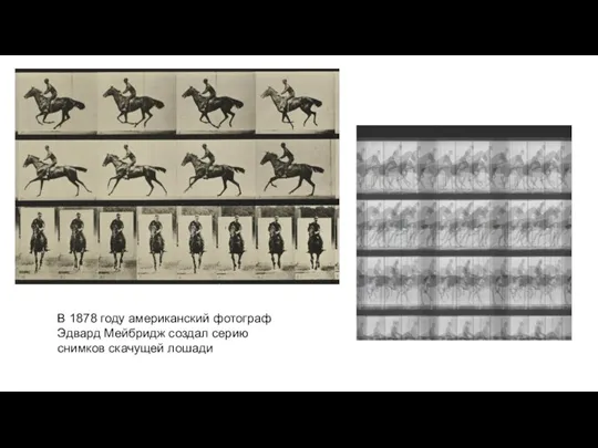 В 1878 году американский фотограф Эдвард Мейбридж создал серию снимков скачущей лошади