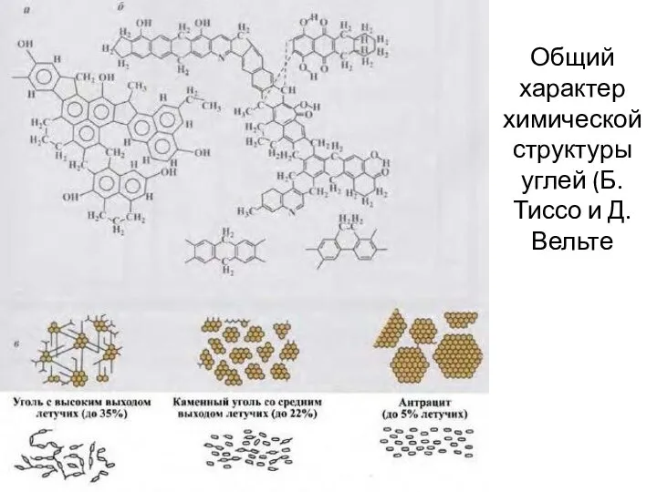 Общий характер химической структуры углей (Б. Тиссо и Д. Вельте