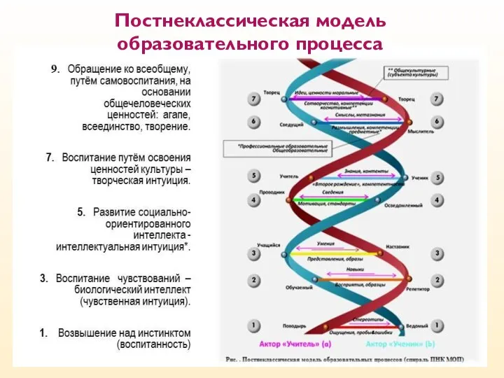 Постнеклассическая модель образовательного процесса