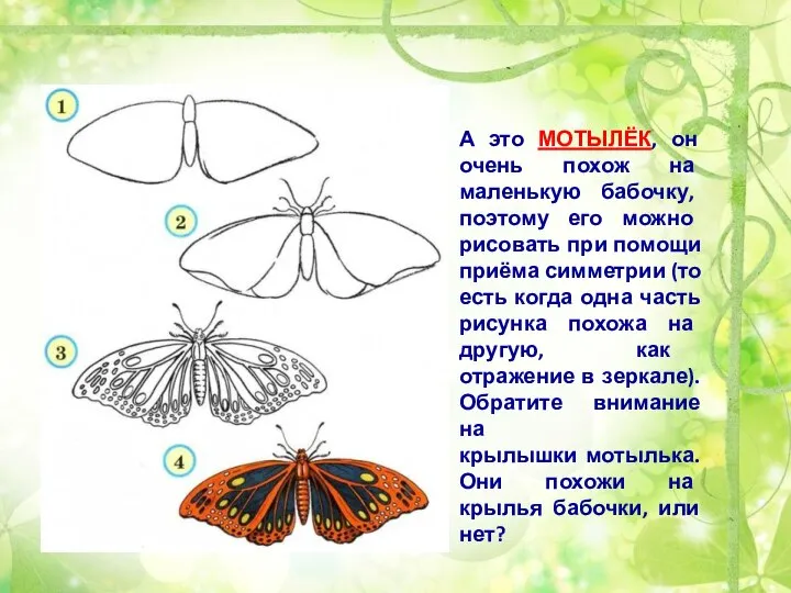 А это МОТЫЛЁК, он очень похож на маленькую бабочку, поэтому его можно