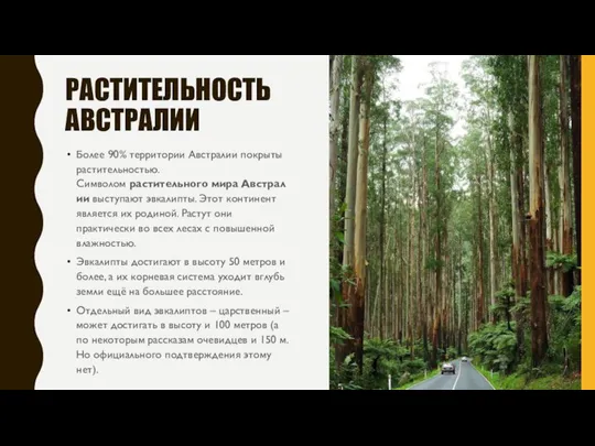 Более 90% территории Австралии покрыты растительностью. Символом растительного мира Австралии выступают эвкалипты.