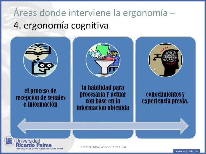 Áreas donde interviene la ergonomía – 4. ergonomía cognitiva Profesor: MAG Wilson Torres Díaz