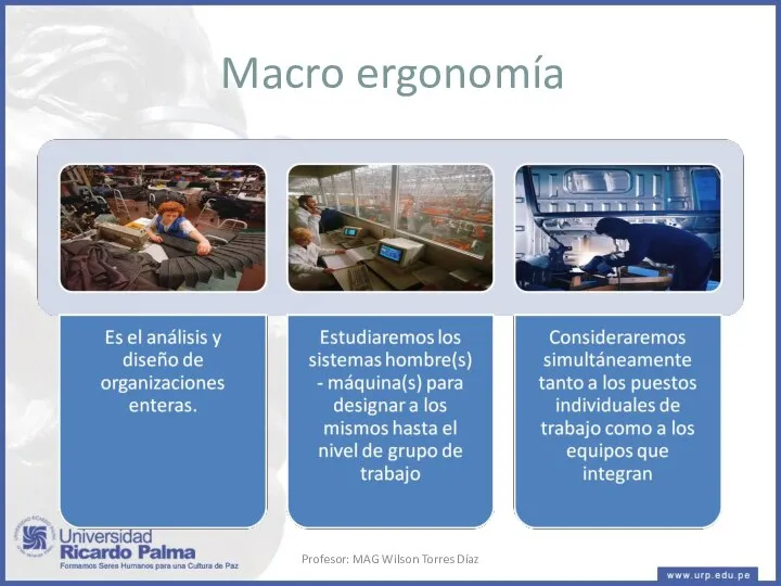 Macro ergonomía Profesor: MAG Wilson Torres Díaz