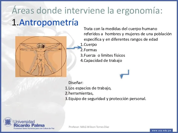 Áreas donde interviene la ergonomía: 1.Antropometría Trata con la medidas del cuerpo