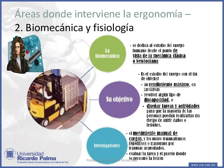 Áreas donde interviene la ergonomía – 2. Biomecánica y fisiología Profesor: MAG Wilson Torres Díaz