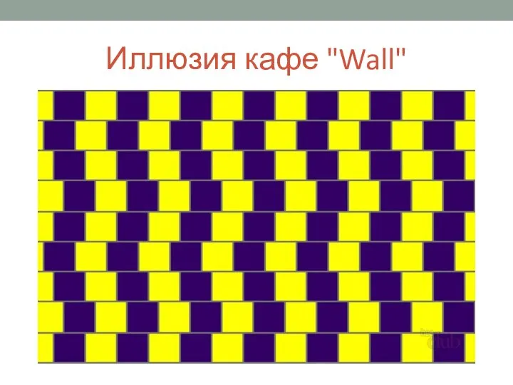 Иллюзия кафе "Wall"