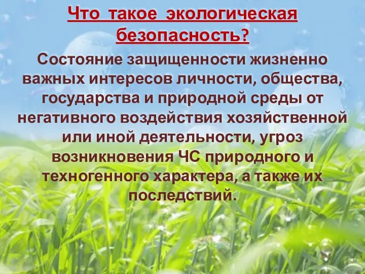 Что такое экологическая безопасность? Состояние защищенности жизненно важных интересов личности, общества, государства