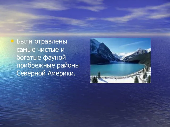 Были отравлены самые чистые и богатые фауной прибрежные районы Северной Америки.