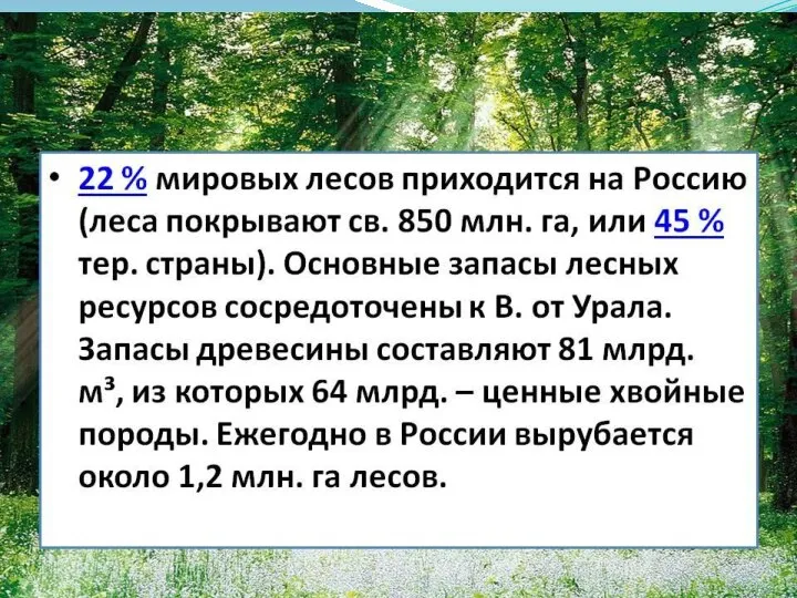 Леса охватывают менее 30 % суши.