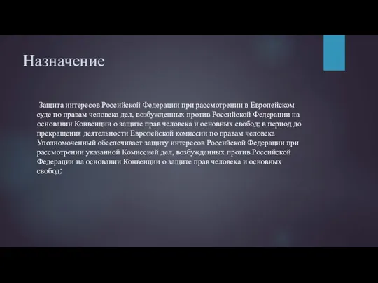 Назначение Защита интересов Российской Федерации при рассмотрении в Европейском суде по правам