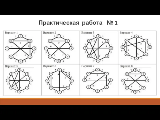 Практическая работа № 1