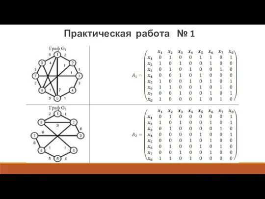 Практическая работа № 1