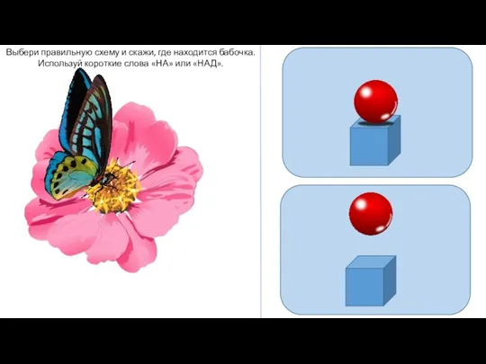 Выбери правильную схему и скажи, где находится бабочка. Используй короткие слова «НА» или «НАД».