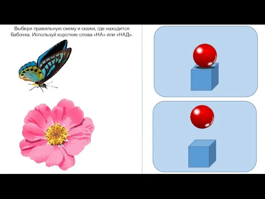 Выбери правильную схему и скажи, где находится бабочка. Используй короткие слова «НА» или «НАД».