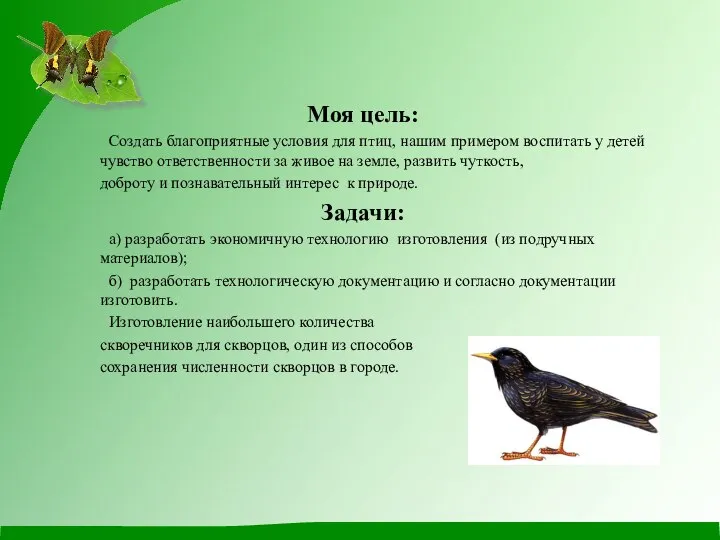 Моя цель: Создать благоприятные условия для птиц, нашим примером воспитать у детей