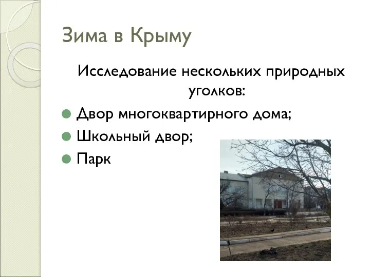 Зима в Крыму Исследование нескольких природных уголков: Двор многоквартирного дома; Школьный двор; Парк
