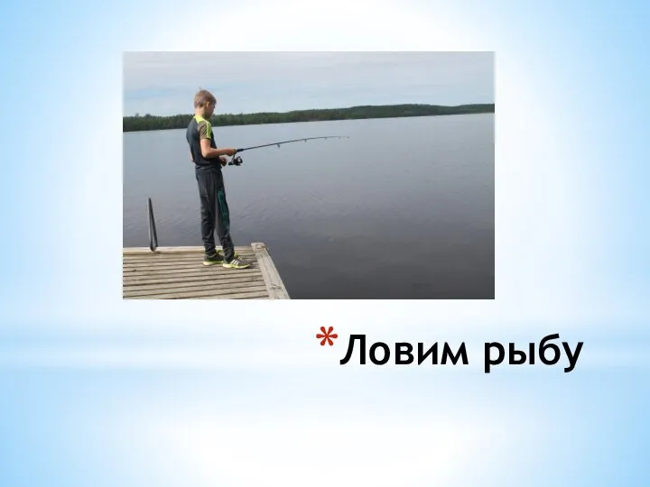 Ловим рыбу