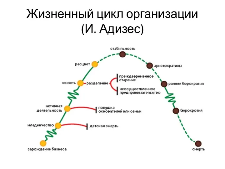 Жизненный цикл организации (И. Адизес)