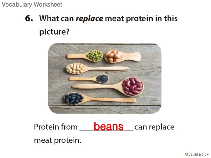 beans Vocabulary Worksheet