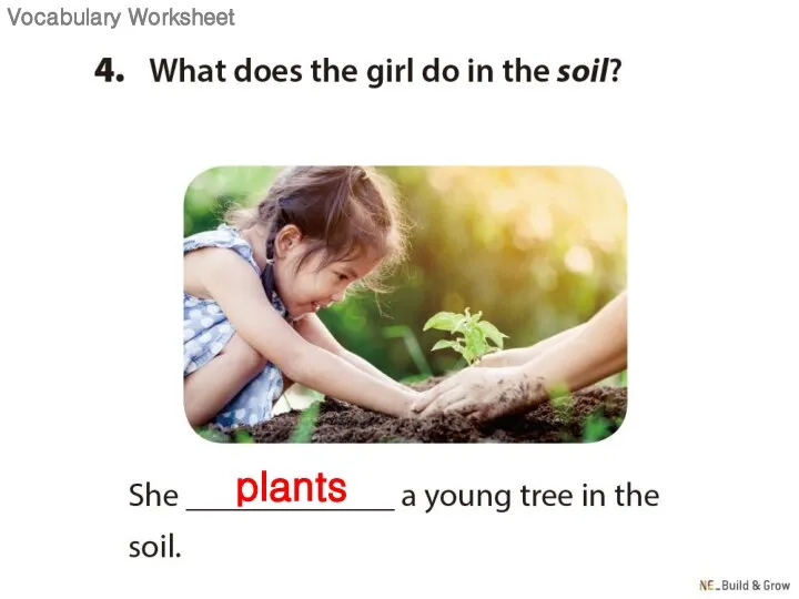 plants Vocabulary Worksheet
