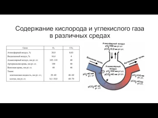 Содержание кислорода и углекислого газа в различных средах