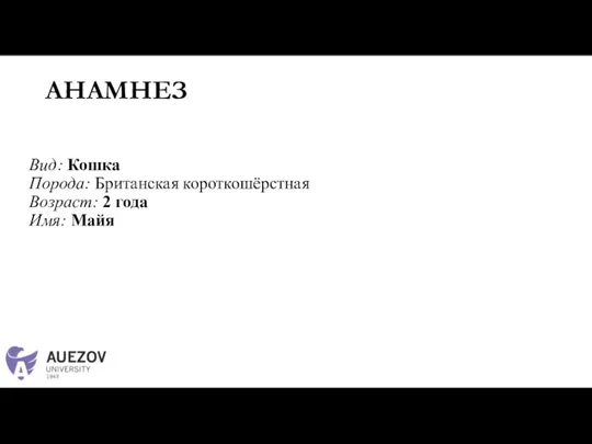 АНАМНЕЗ Вид: Кошка Порода: Британская короткошёрстная Возраст: 2 года Имя: Майя