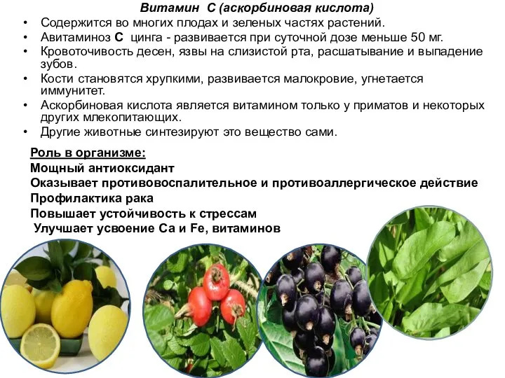 Витамин С (аскорбиновая кислота) Содержится во многих плодах и зеленых частях растений.