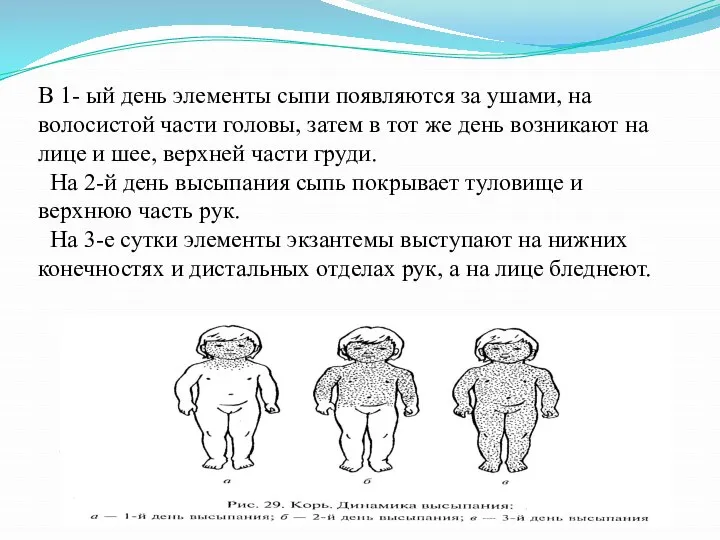 В 1- ый день элементы сыпи появляются за ушами, на волосистой части