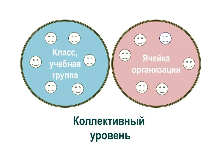 Класс, учебная группа Ячейка организации Коллективный уровень