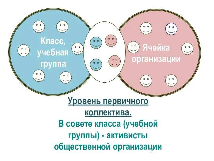 Класс, учебная группа Ячейка организации Уровень первичного коллектива. В совете класса (учебной