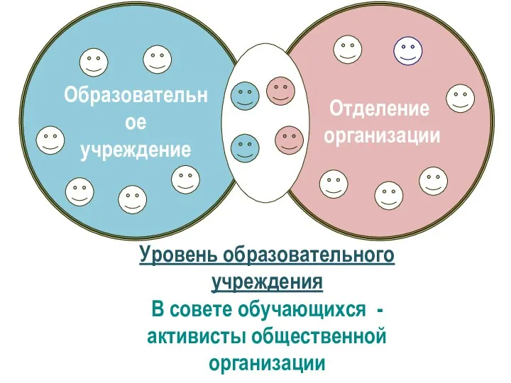 Образовательное учреждение Отделение организации Уровень образовательного учреждения В совете обучающихся - активисты общественной организации