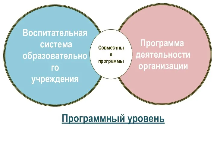 Воспитательная система образовательного учреждения Программа деятельности организации Совместные программы Программный уровень