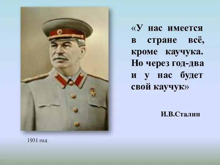 «У нас имеется в стране всё, кроме каучука. Но через год-два и