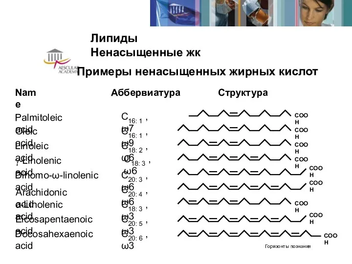 Липиды Ненасыщенные жк COOH COOH COOH Palmitoleic acid Oleic acid Linoleic acid