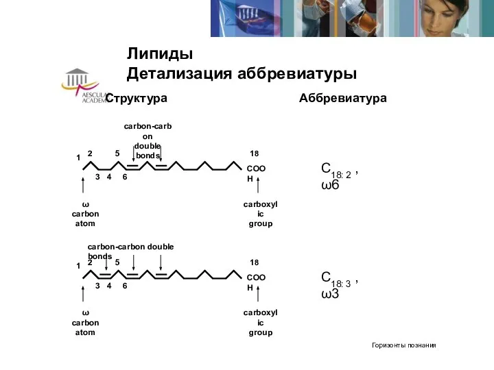 Липиды Детализация аббревиатуры