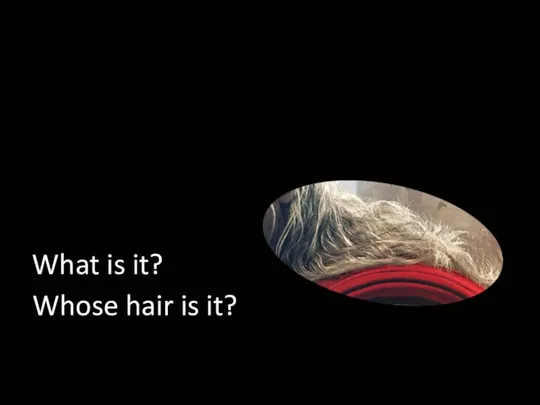 What is it? Whose hair is it?