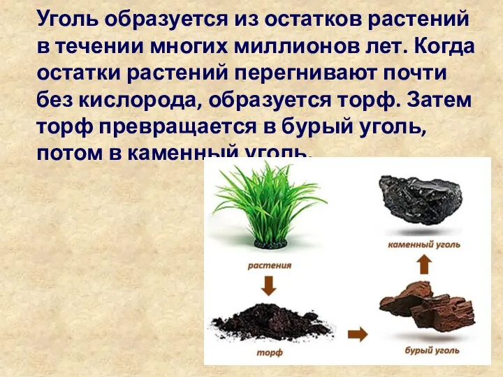 Уголь образуется из остатков растений в течении многих миллионов лет. Когда остатки