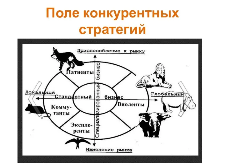 Поле конкурентных стратегий