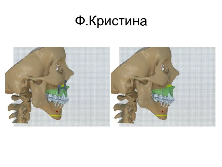 Ф.Кристина