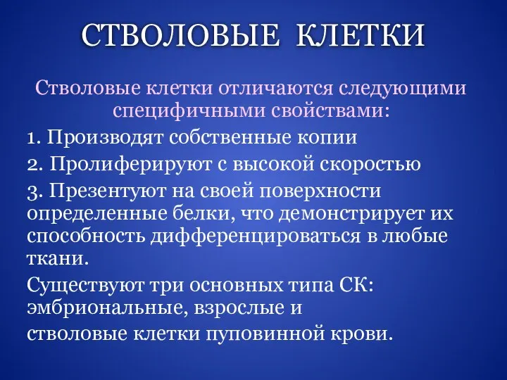 СТВОЛОВЫЕ КЛЕТКИ Стволовые клетки отличаются следующими специфичными свойствами: 1. Производят собственные копии