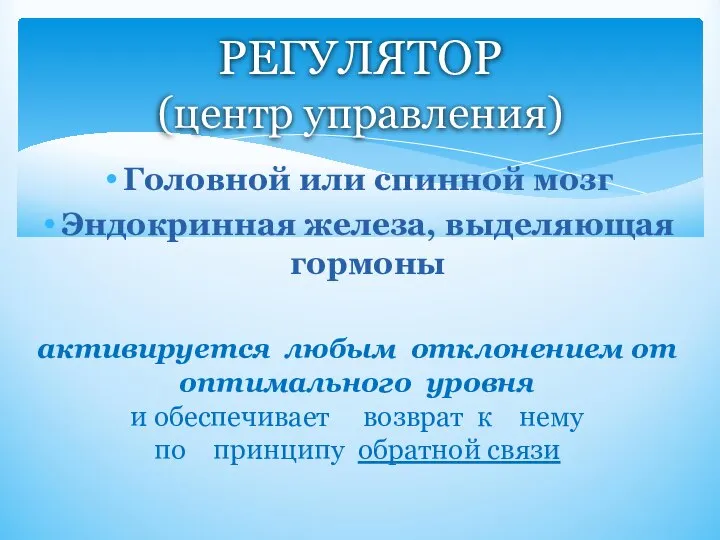 Головной или спинной мозг Эндокринная железа, выделяющая гормоны активируется любым отклонением от