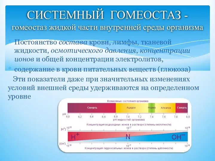 Постоянство состава крови, лимфы, тканевой жидкости, осмотического давления, концентрации ионов и общей