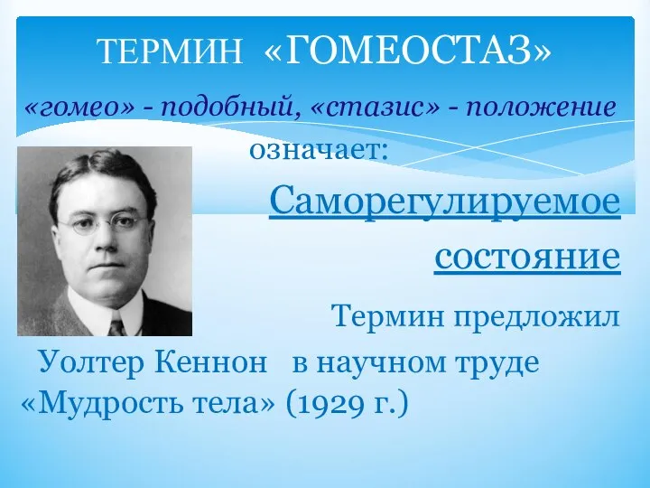 «гомео» - подобный, «стазис» - положение означает: Саморегулируемое состояние Термин предложил Уолтер