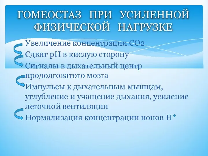 Увеличение концентрации СО2 Сдвиг рН в кислую сторону Сигналы в дыхательный центр