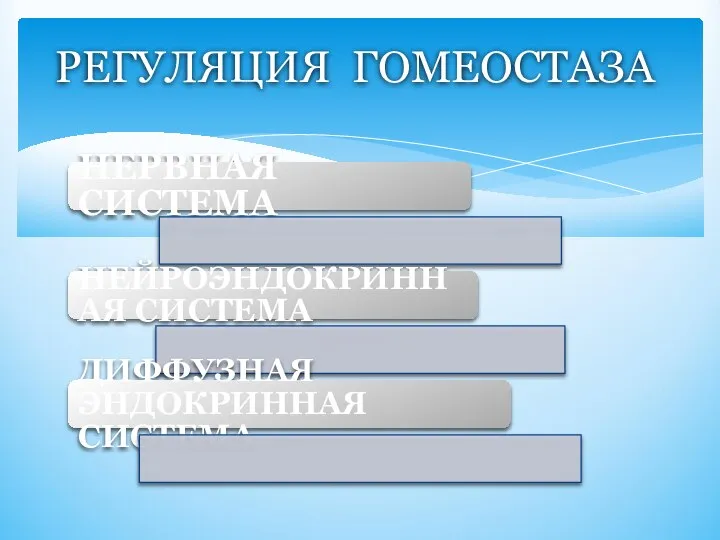 НЕРВНАЯ СИСТЕМА НЕЙРОЭНДОКРИННАЯ СИСТЕМА ДИФФУЗНАЯ ЭНДОКРИННАЯ СИСТЕМА РЕГУЛЯЦИЯ ГОМЕОСТАЗА