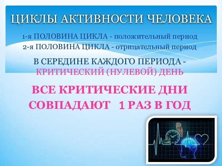 1-я ПОЛОВИНА ЦИКЛА - положительный период 2-я ПОЛОВИНА ЦИКЛА - отрицательный период